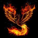 Profile picture of Phoenixfeuer