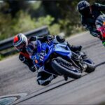 Profile picture of Karle