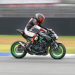 Profile picture of Geiger